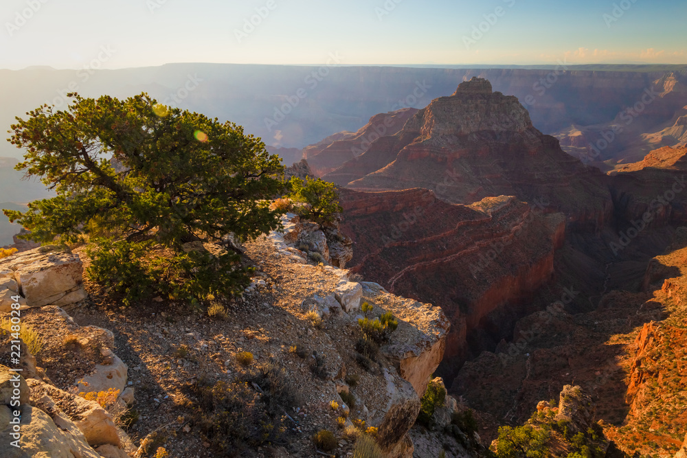 A beautiful scenic view of Grand Canyon National park, North Rim