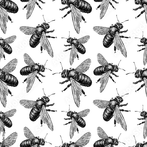 Vector background of drawn bumblebees