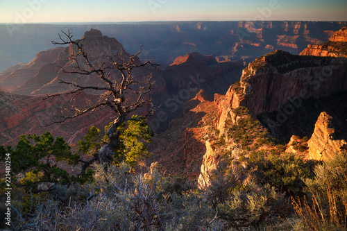 Fototapeta Naklejka Na Ścianę i Meble -  A beautiful scenic view of Grand Canyon National park, North Rim
