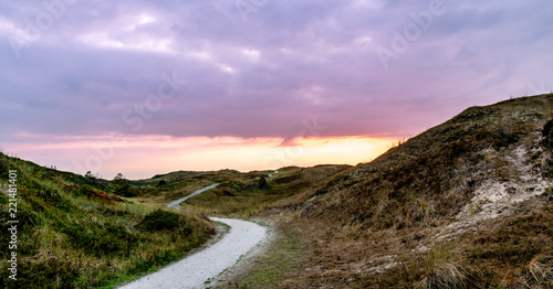 Road into the sunset