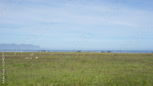 Landschaft bei Djúpivogur / Ostfjorde – Island