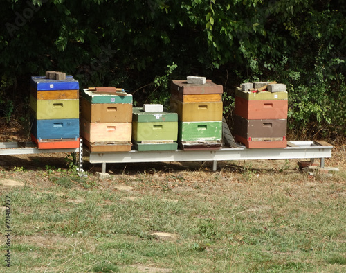 Bienenkasten  © Janet Worg
