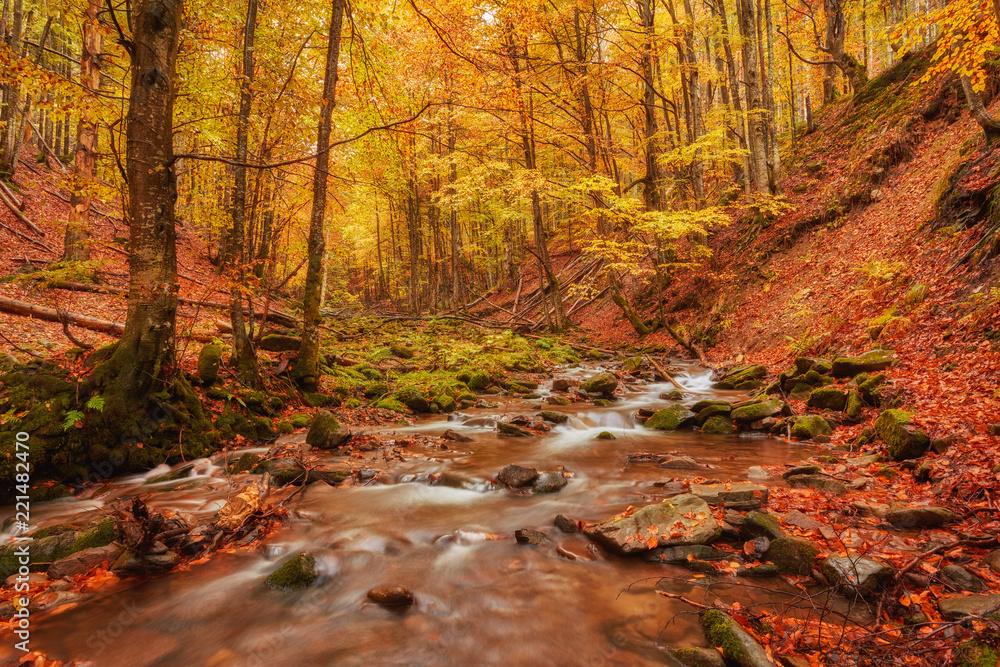 rapid mountain river in autumn. rapid mountain river in autumn.