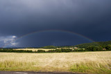 Regenbogen über Kornfeld