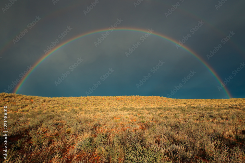 Landscape with a colorful rainbow in stormy sky, Kalahari desert, South Africa. - obrazy, fototapety, plakaty 