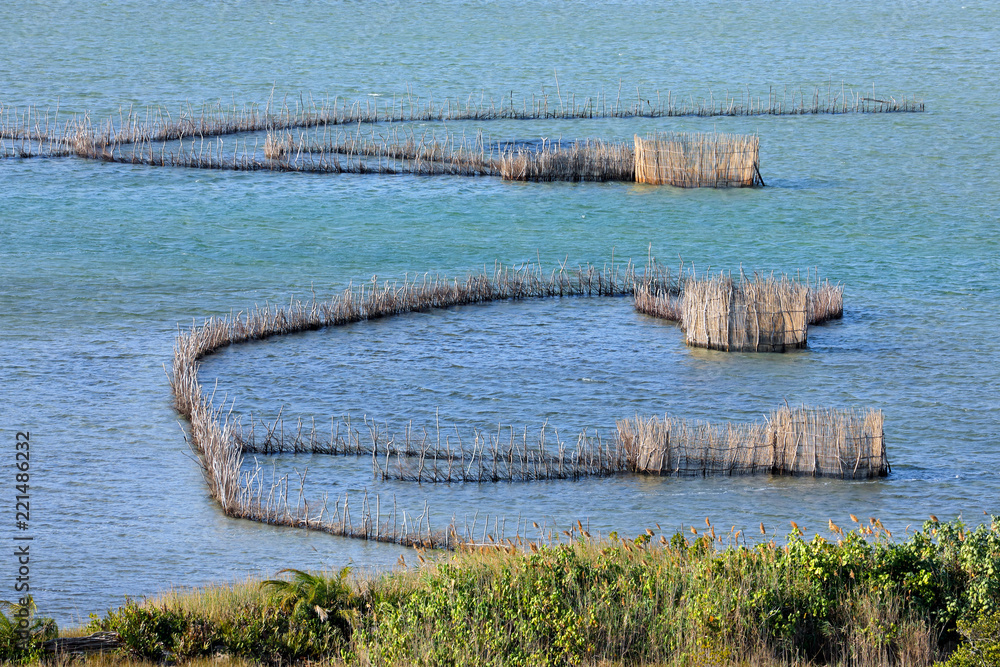Traditional Tsonga fish traps built in the Kosi Bay estuary, Tongaland, South Africa. - obrazy, fototapety, plakaty 