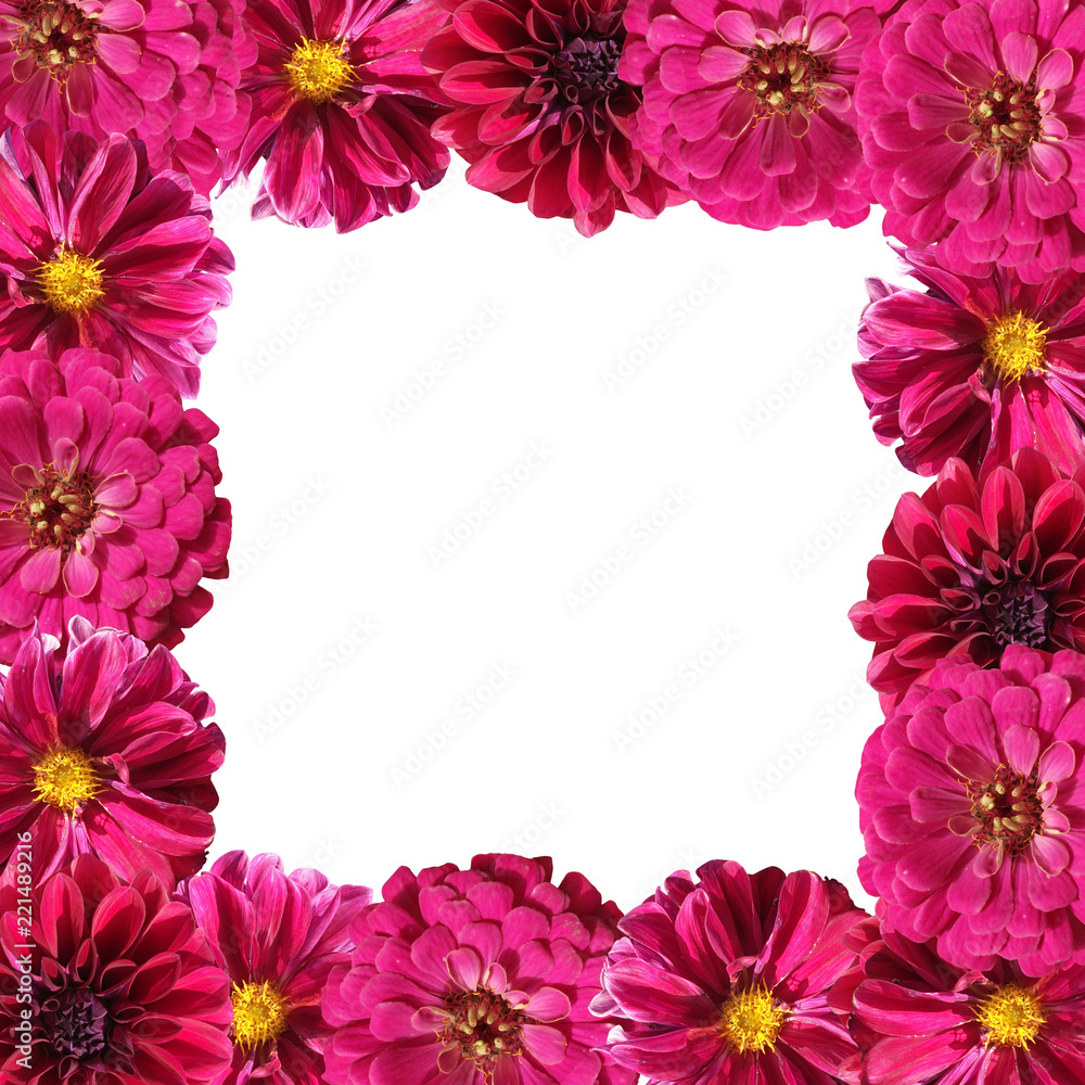 Fototapeta premium Beautiful floral background of tsiniyas and dahlias 