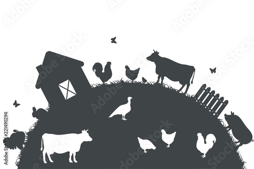 Ферма с животными photo