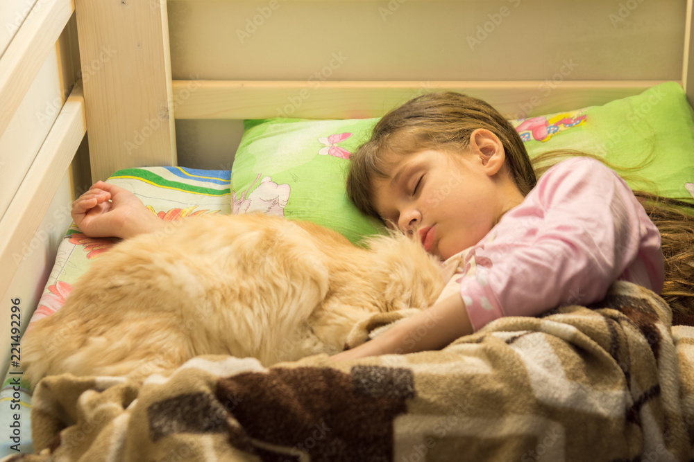 Little girl sleeping in bed with fluffy cat Little girl sleeping in bed with fluffy cat