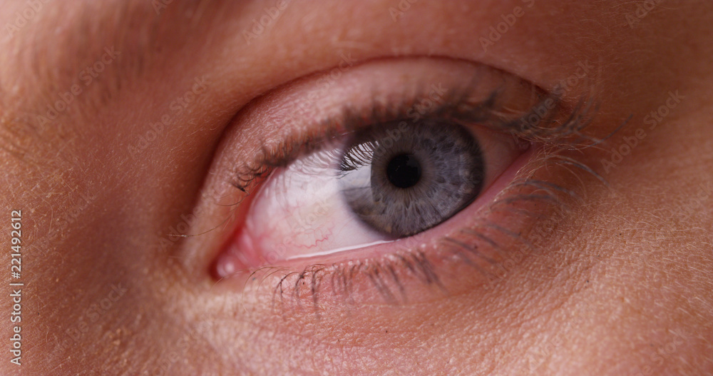 © Mark Adams - Front view of young Caucasian woman's blue eye looking at camera on green screen © Mark Adams - Front view of young Caucasian woman's blue eye looking at camera on green screen