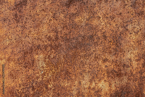 Wallpaper Mural Grunge rusted metal texture, rust and oxidized metal background. Old metal iron panel. Torontodigital.ca