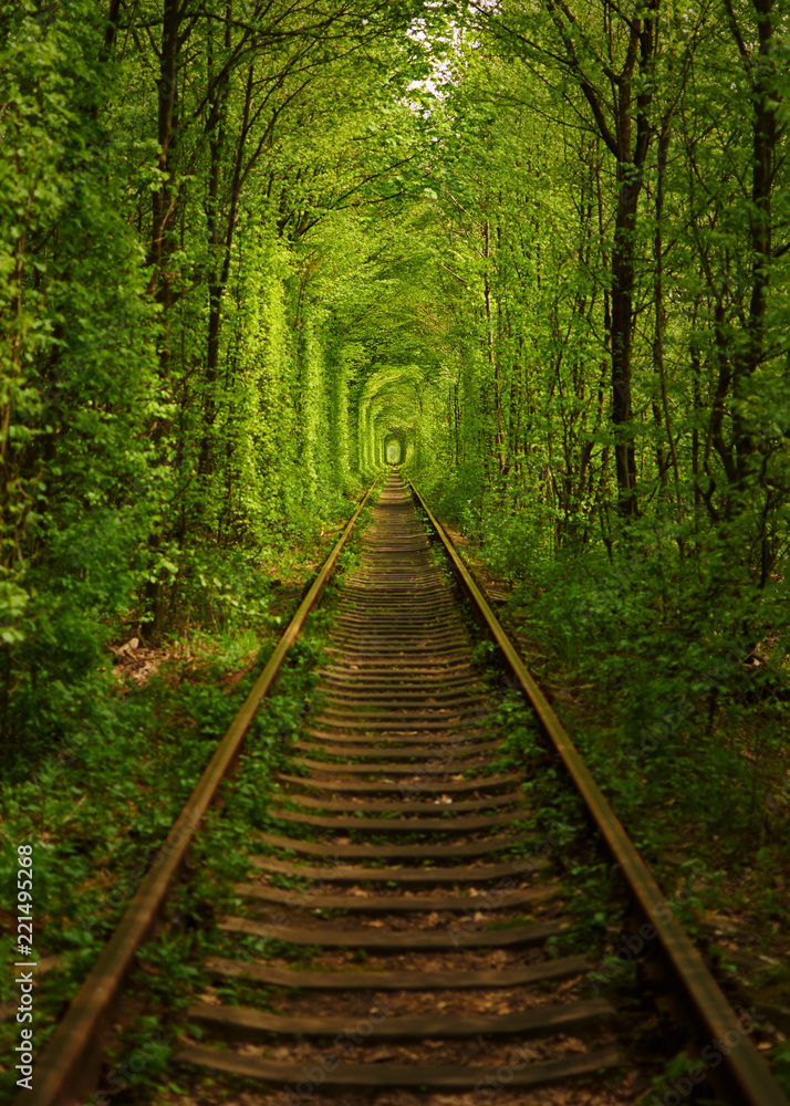 Fototapeta premium Naturalny tunel utworzony przez drzewa na Ukrainie, nazywany Klevanem tunelem miłości