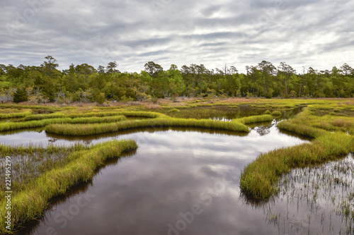 Scenic wetlands along the Cedar Point (Tideland) hiking trail in the Croatan National Forest near Emerald Isle, North Carolina