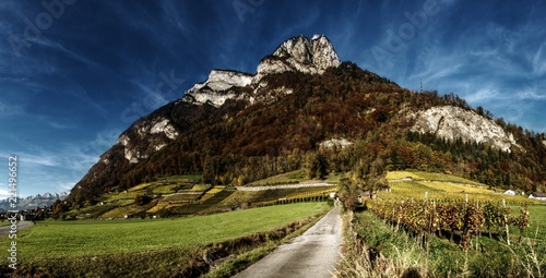 Autumn vineyards on the slopes of the Gonzen az Heiligkreuz, Swiss Alps photo