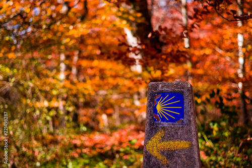 Camino de Santiago, Navarra, España