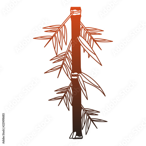 Bamboo asian plant red lines