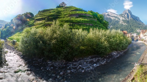 Vineyards in the middle of Mels, Swiss Rhine valley, and the Gonzen in the background photo