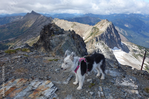 Hiking In Washington State, the Pacific Northwest photo