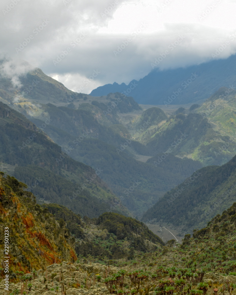 Landscape in the mountains, Rwenzori Mountains, Uganda