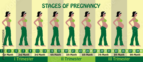 Stages of pregnancy with a pregnant woman wears bra and baggy pajamas