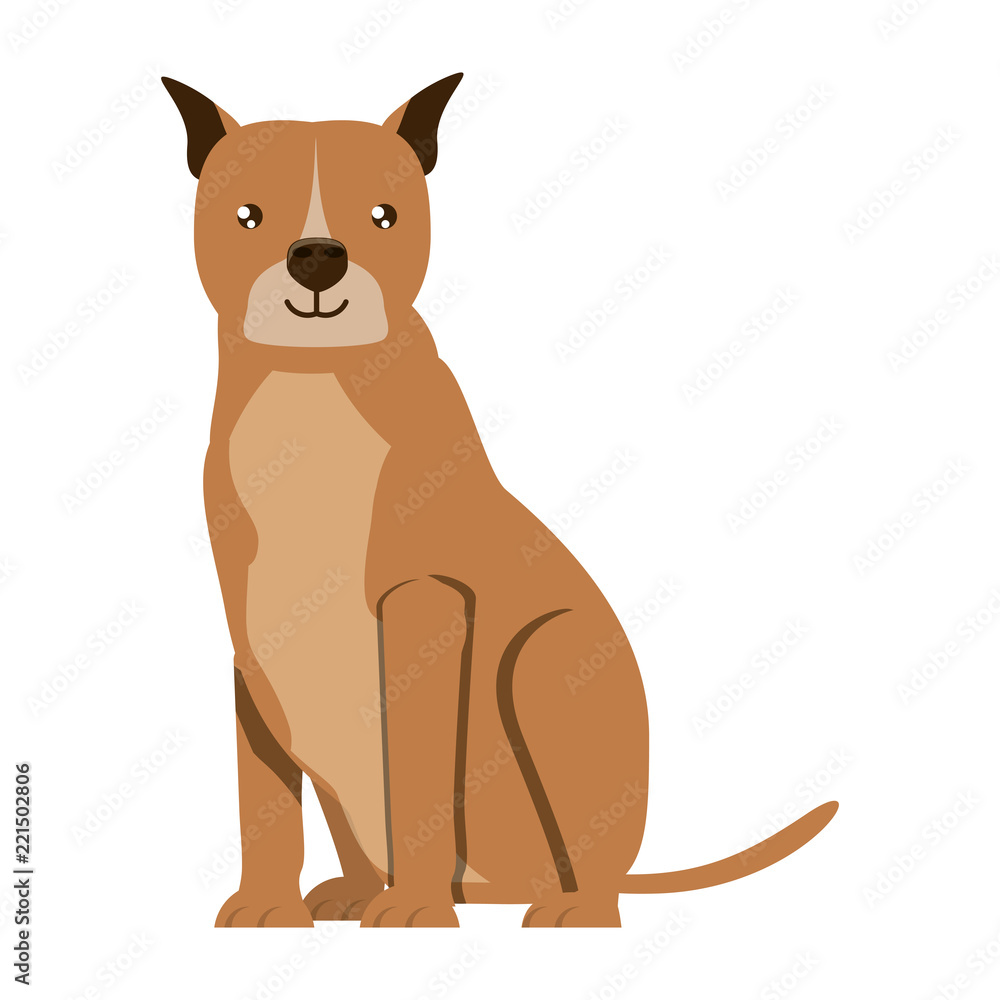 Obraz premium cute dogs design