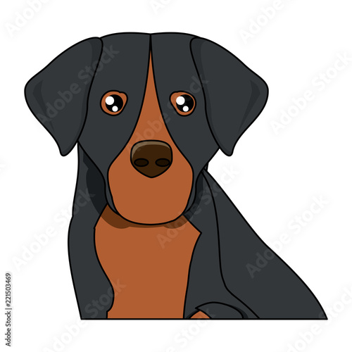 Dog breeds design