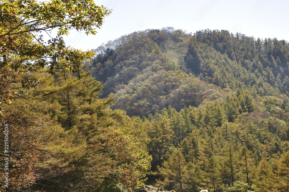 紅葉の七ツ石山