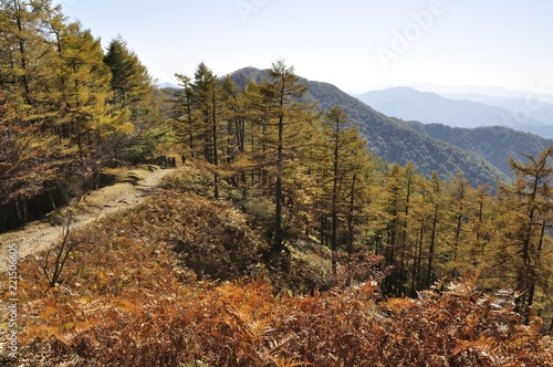 紅葉の雲取山より七ツ石山