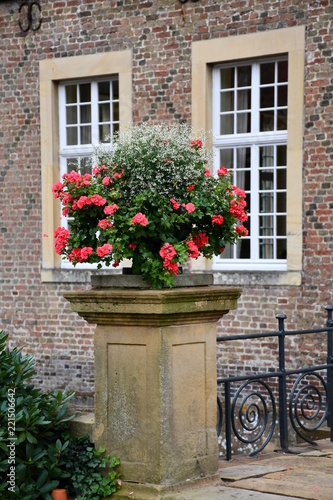 Fototapeta Naklejka Na Ścianę i Meble -  Geraniensäule