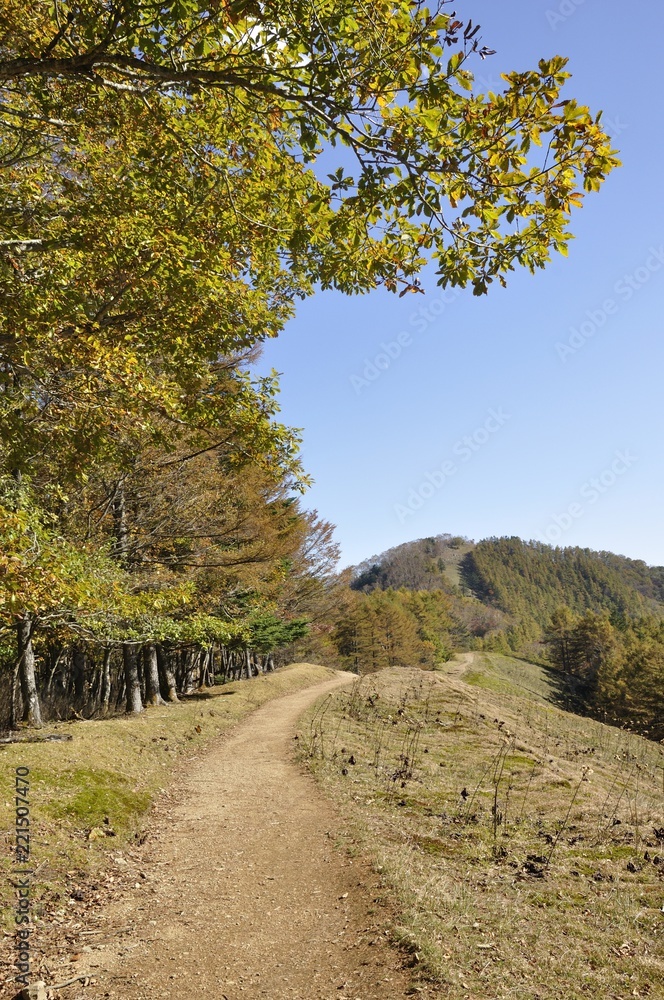Naklejka premium 秋の石尾根と七ツ石山