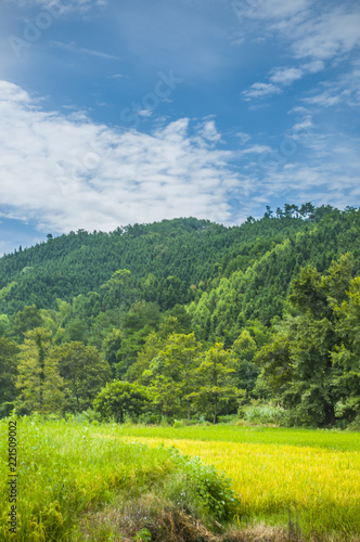 Countryside scenery in autumn