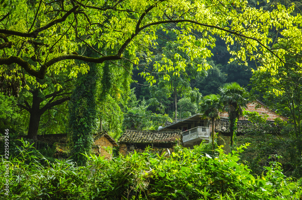 Forest and countryside scenery in autumn Forest and countryside scenery in autumn