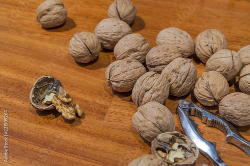 shelled walnut other nuts and nutcrackers