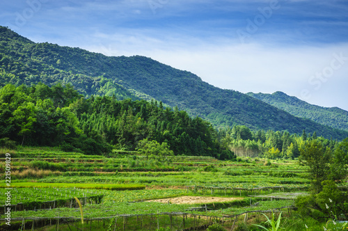 Countryside and mountains scenery in autumn