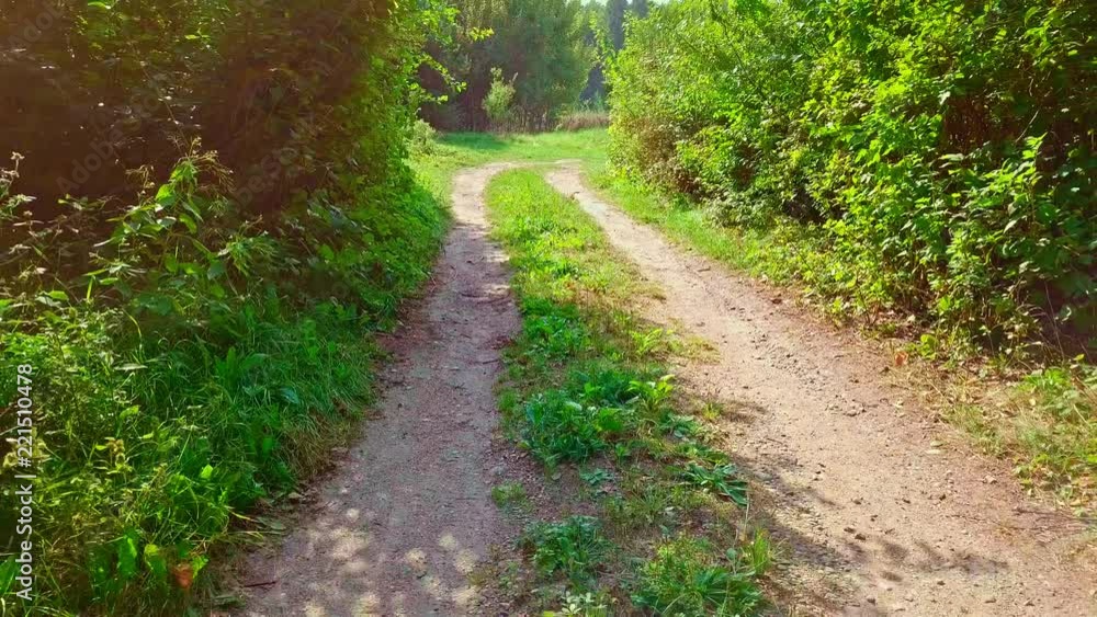 4k AERIAL: Not height flight over sandy road in forest. 4k AERIAL: Not height flight over sandy road in forest.
