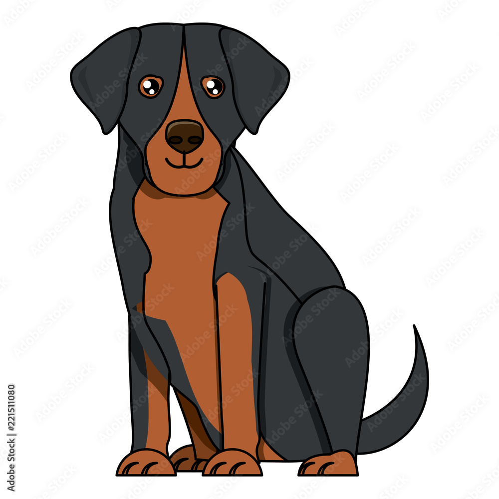 Fototapeta premium Dog breeds design