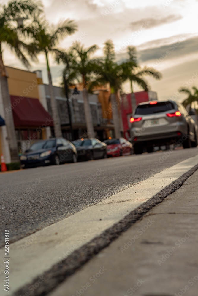 Fototapeta premium By the Curb
