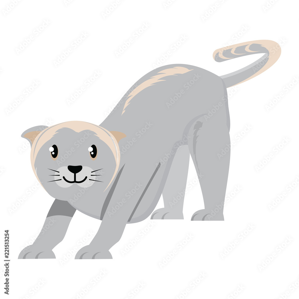 Fototapeta premium cute cat design