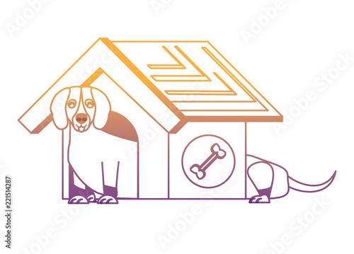 cute pet house