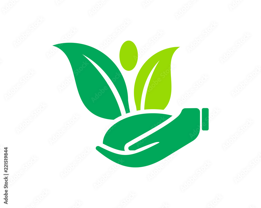 green nature natural plant herb image vector icon logo