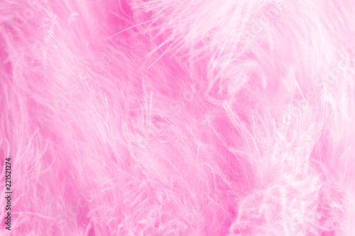 Pink bird feathers in soft and blur style, Fluffy feather background