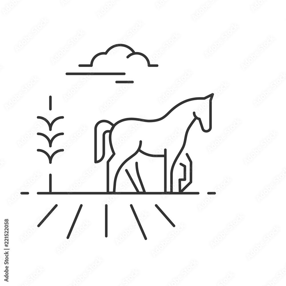 Fototapeta premium Horse walking in a field