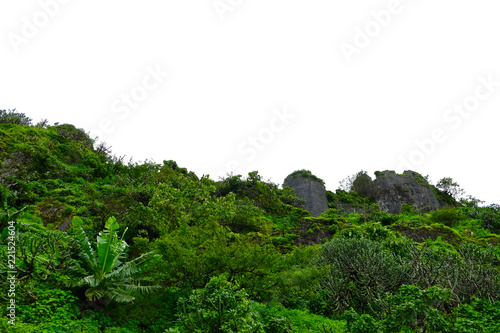 Canvas Print Beautiful landscape aerial, and closeup Photos of nature, roads, grass, trees, village, and farm land