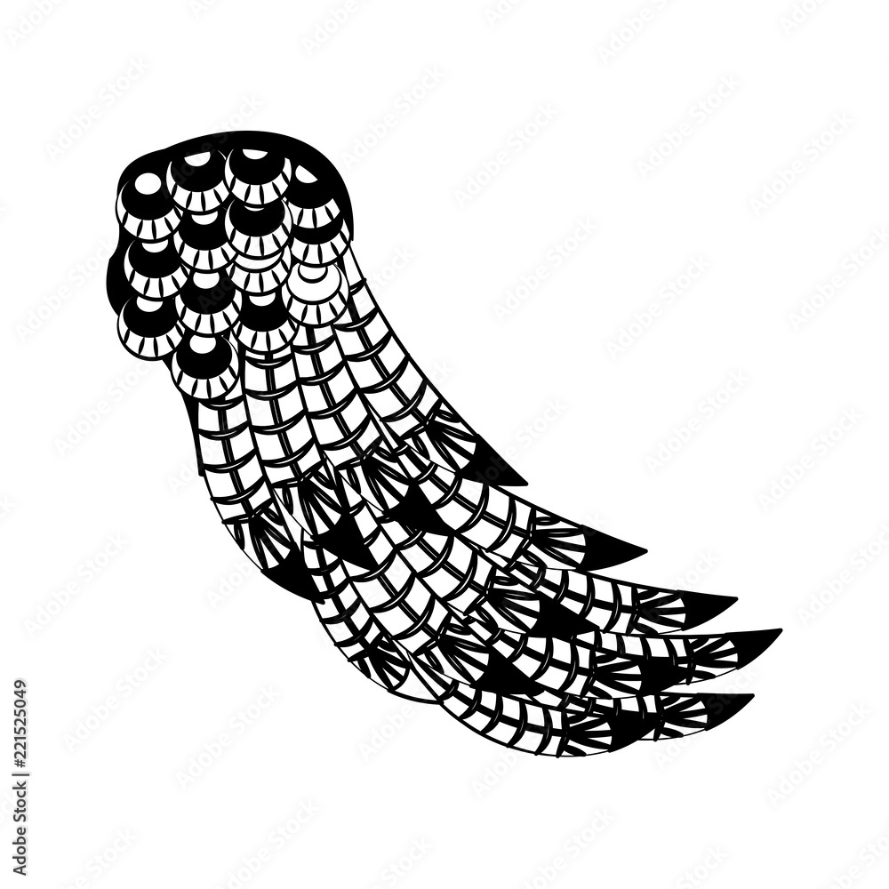 Bird wings isolated in black and white Bird wings isolated in black and white