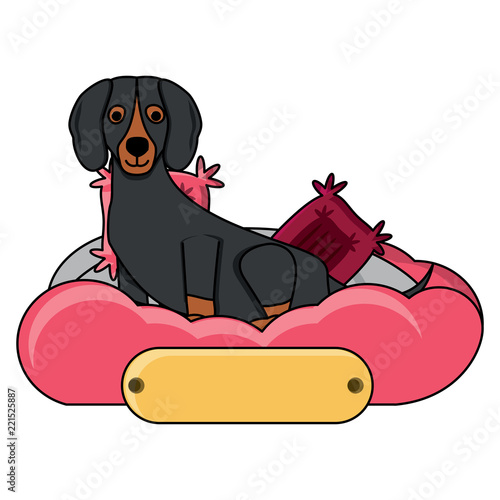 cute dog design
