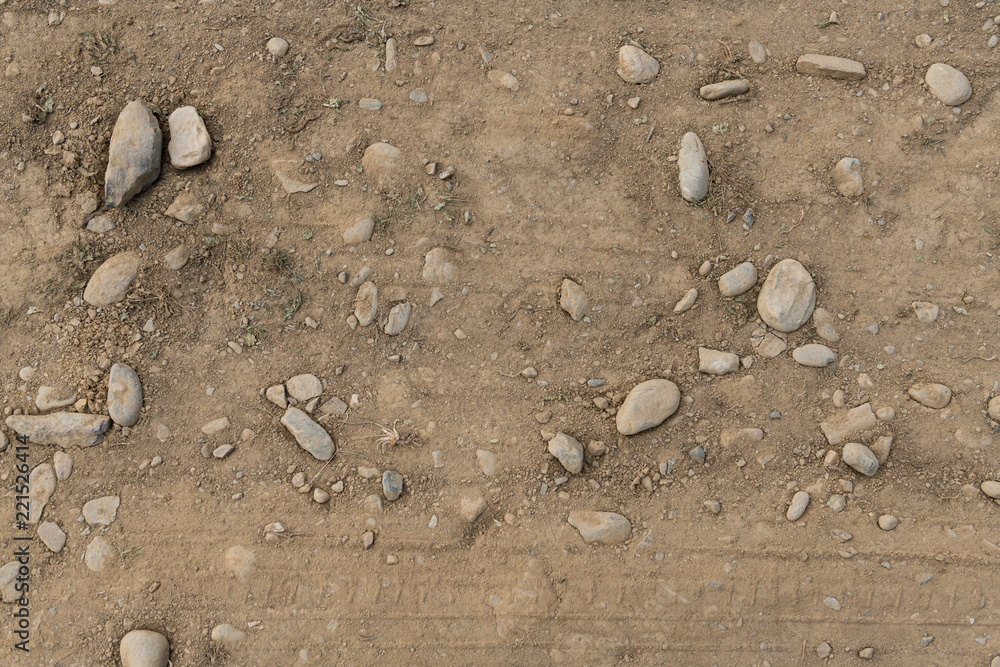 Dirt Road Close -up Dirt Road Close -up