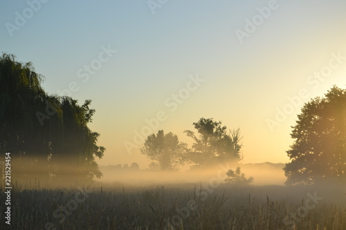 Morgengrauen © Jeannette
