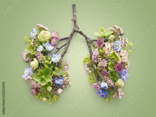 Spring flowers representing human lungs photo
