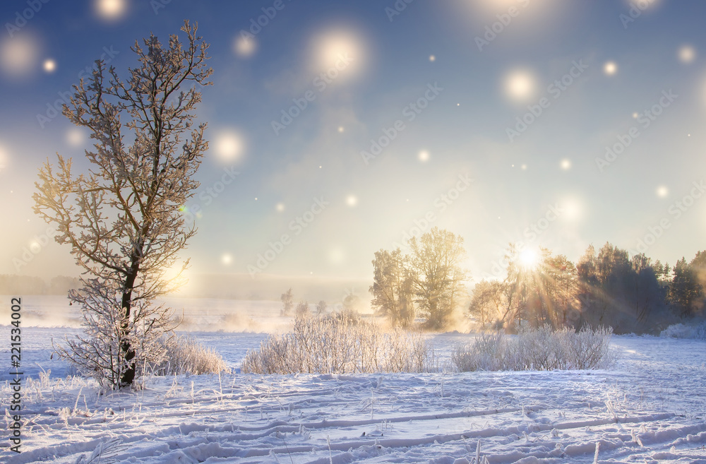 Christmas background. Winter nature landscape on sunny morning with magic glowing snowflakes. Shine of lights on Xmas. Sunbeams in beautiful winter scene. Scenery winter. Hoarfrost on tree at sunrise. Christmas background. Winter nature landscape on sunny morning with magic glowing snowflakes. Shine of lights on Xmas. Sunbeams in beautiful winter scene. Scenery winter. Hoarfrost on tree at sunrise.
