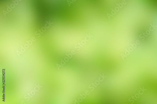 Natural green background of blurred green leaves with bokeh